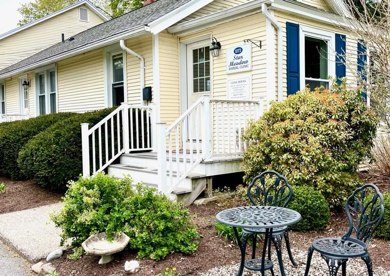 Star Meadow Animal Clinic Farmington Veterinarians